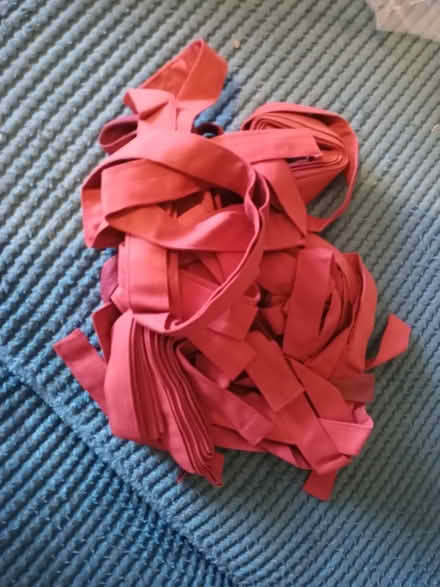 Photo of free Ties/tie backs (Livingston EH54) #1