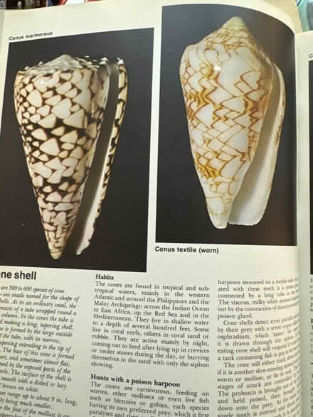 Photo of free 2 Wildlife Encyclopedias (Upper Chichester, PA) #2