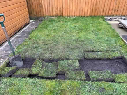 Photo of free Turf (grass from garden) (Barrow nr Whalley BB7) #1
