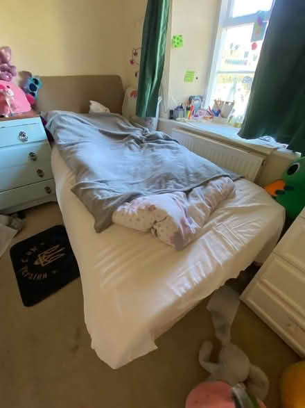 Photo of free Single bed and Mattress (Brampton Bryan SY7) #2