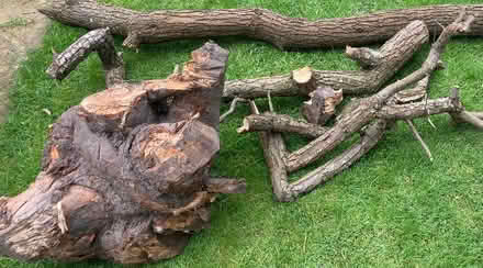 Photo of free Wood. Suitable for firewood or carving. (Belle Vue SY3) #1