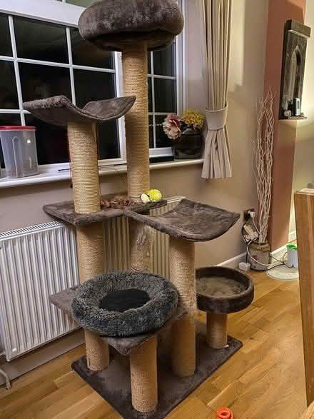 Photo of free Cat Tower (Hinton Martell, Wimborne) #2