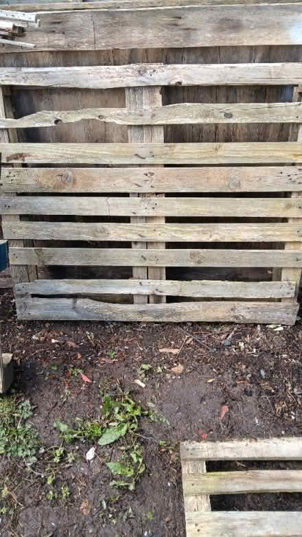 Photo of free old pallets for fire wood . (Graig Fechan LL15) #1
