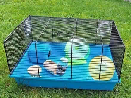 Photo of free Small Pet Cage (Weston-super-Mare) #1