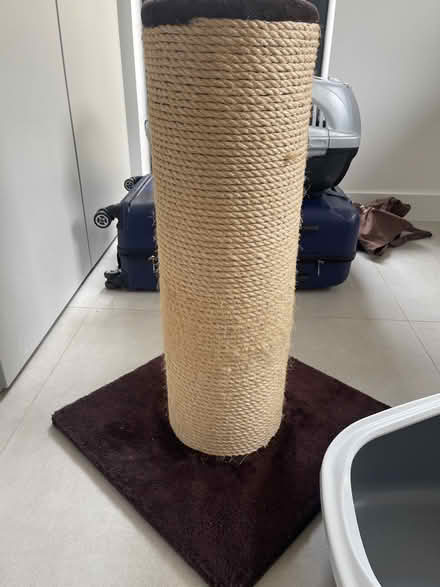 Photo of free Cat scratching post and litter tray (Bedford) #2