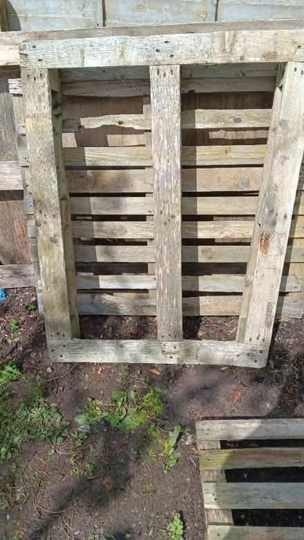 Photo of free old pallets for fire wood . (Graig Fechan LL15) #2