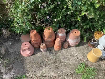 Photo of free Terracotta plant pots (Kilmington, Devon) #1