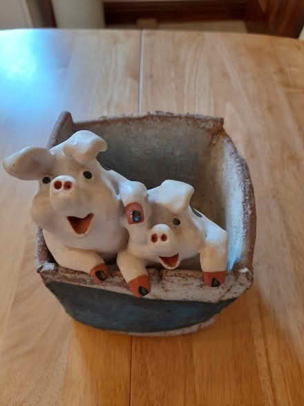 Photo of free Plant pot with pigs! (Leyland PR25) #3