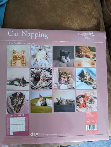 Photo of free Cat calendar 2024 (Barkingside IG6) #1