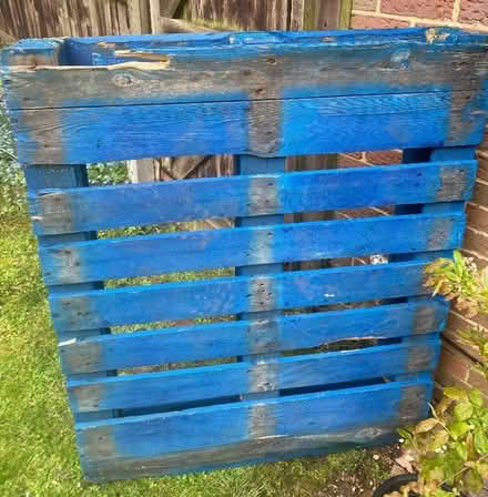Photo of free 2 Blue Pallets (Bernards Heath AL3) #1