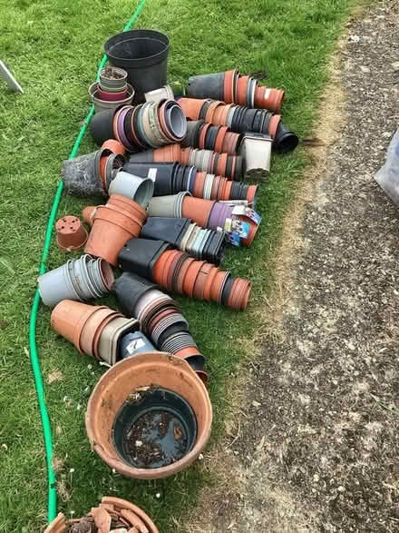 Photo of free Plastic plant pots (Kilmington, Devon) #1