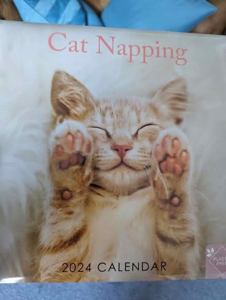Photo of free Cat calendar 2024 (Barkingside IG6) #2