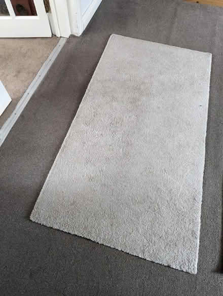 Photo of free 80x150 rug (Ashington (NE63)) #1