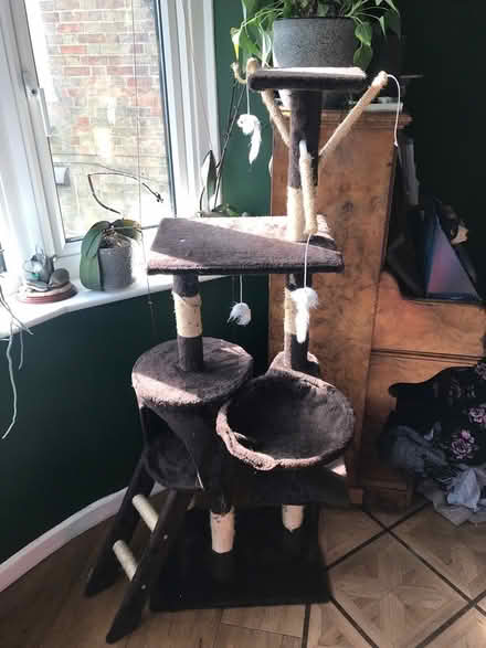 Photo of free Cat tree playhouse - reserved (Thorney, Peterborough) #1