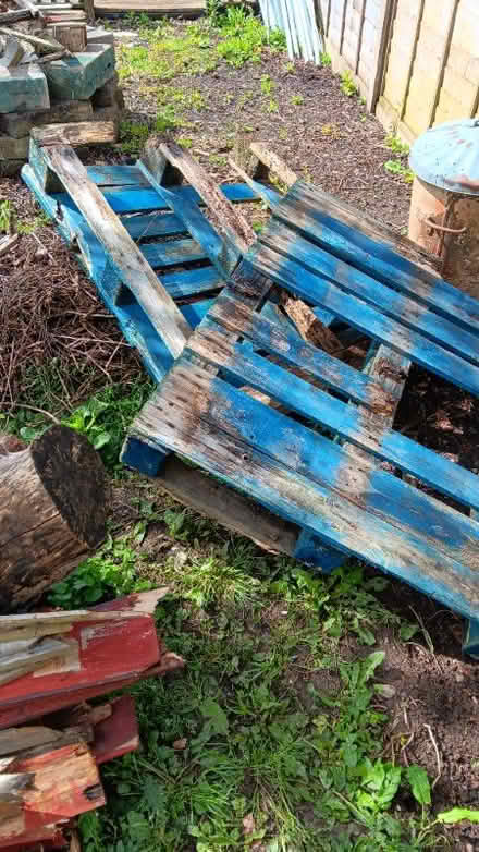 Photo of free old pallets for fire wood . (Graig Fechan LL15) #3