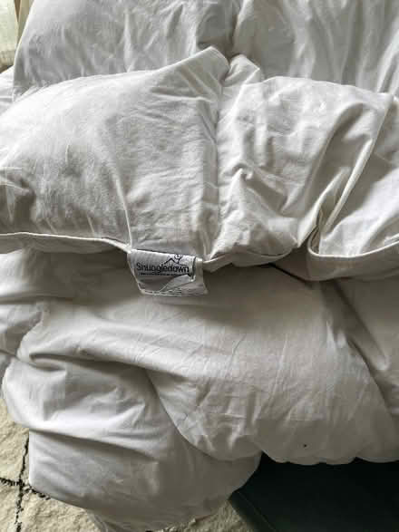 Photo of free King size 10.5 tog duvet (Seven Dials BN1) #1