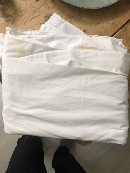 Photo of free king sized flat white sheet (Bromley BR1) #1