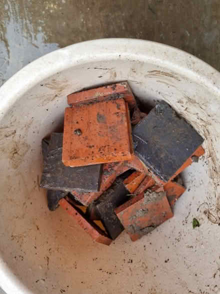 Photo of free Edwardian floor tiles (Stroud GL5) #1