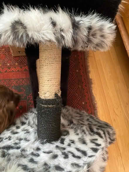 Photo of free Small cat scratcher/cat tower (Hinton Martell, Wimborne) #2
