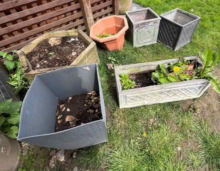 Photo of free Flower pots (Hooks Cross SG14) #1
