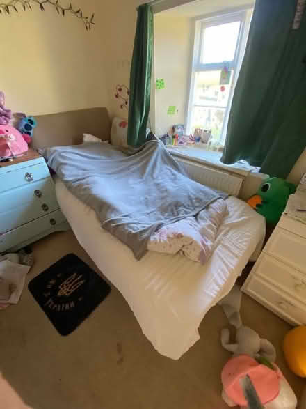 Photo of free Single bed and Mattress (Brampton Bryan SY7) #1