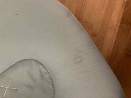 Photo of free Rahoo baby lounger (Emeryville) #1