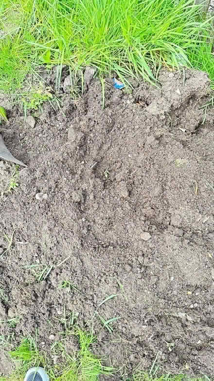 Photo of free Soil good quality (Alva) #1