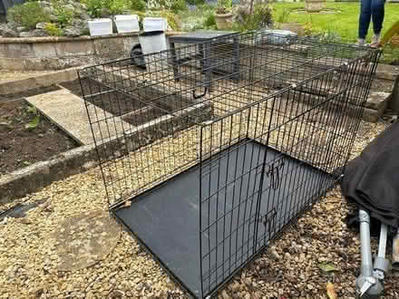 Photo of free Extra large dog cage (GL3) #2