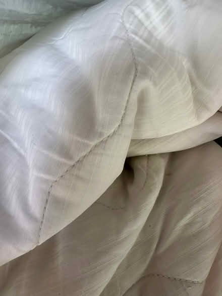 Photo of free Comforter, mattress pad and pillows (Morgan hill) #2