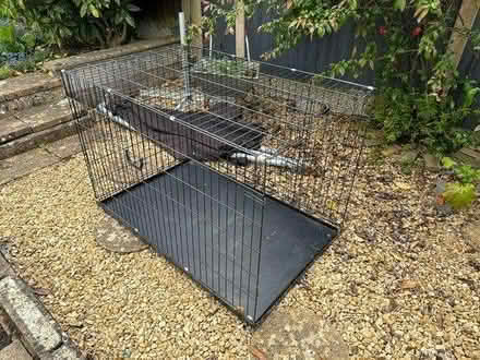 Photo of free Extra large dog cage (GL3) #1