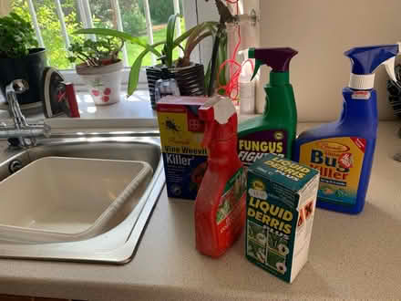 Photo of free Selection of garden products (Glasgow G41) #1