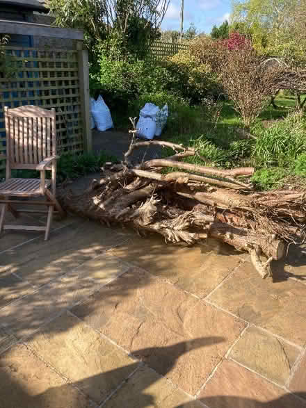 Photo of free Wood (Craigleith EH4) #3