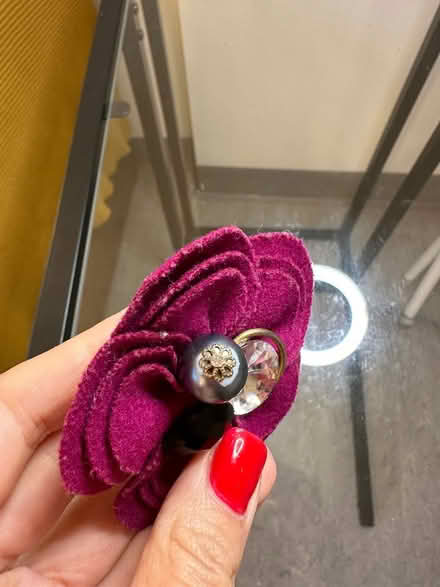 Photo of free A colorful brooch on a pin (Cutteslowe OX2) #2
