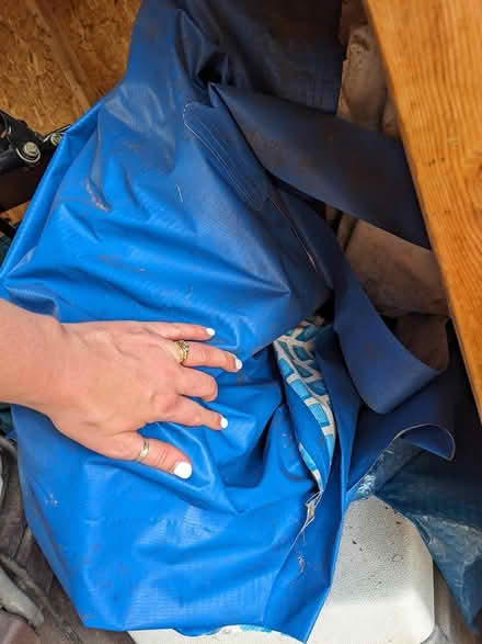 Photo of free Pool and Accessories (Main St - Pleasant Ln Lombard) #1