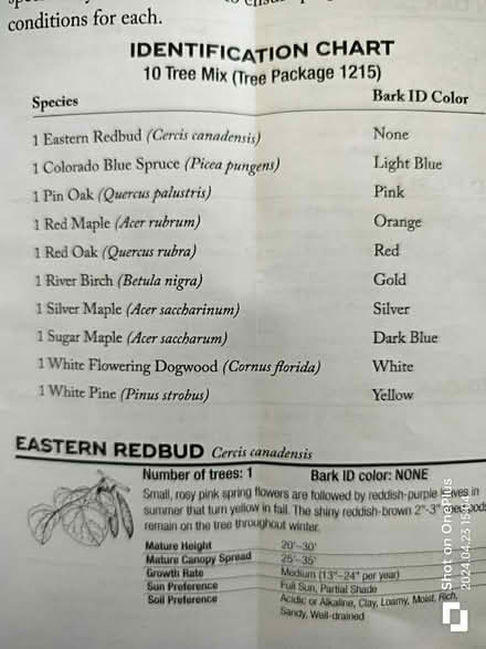 Photo of free Bare root tree saplings (Minooka) #1