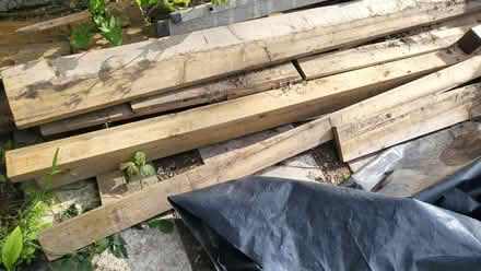 Photo of free Timber/wood (New Cross SE14) #3
