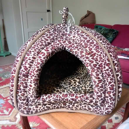 Photo of free Cat Igloo (Lode, Cambridgeshire) #1