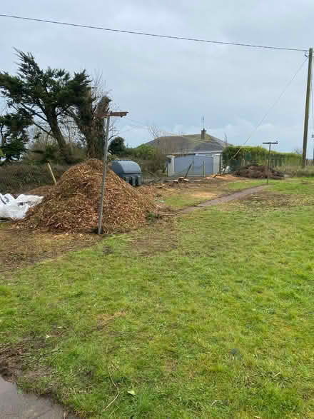 Photo of free Garden mulch / chippings (Enniscorty) #3