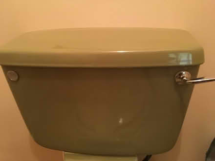 Photo of Avocado toilet cistern (Bridge of Allan FK9) #1