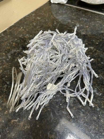 Photo of free Christmas Tree Lights (Chailey) #1