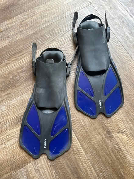 Photo of free Adult flippers (Hatfield) #1