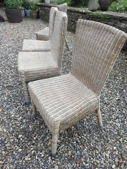 Photo of free 2 or 4 whicker (cane) chairs - good condition (Greystoke CA11) #1