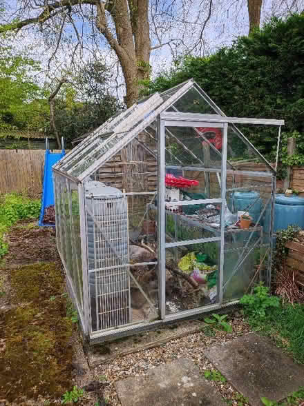 Photo of free Greenhouse (Cassiobury WD17) #2