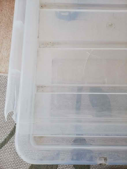Photo of free Large plastic storage box with lid (Harrogate HG2) #2