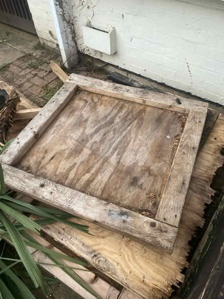 Photo of free Wood (Sunbury on thames) #1