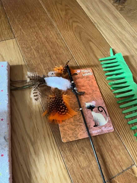 Photo of free Cat bits and bobs (E2) #3