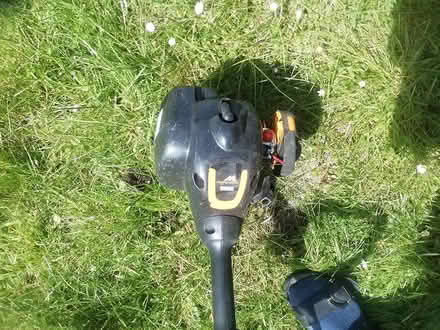 Photo of free Petrol Strimmer (Walford, nr Ross-on-Wye) #2