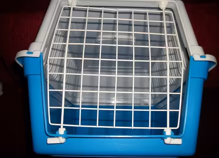 Photo of free Pet carrier, small dog/cat (Burnley) #2