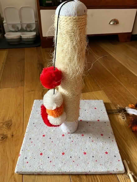 Photo of free Cat bits and bobs (E2) #2