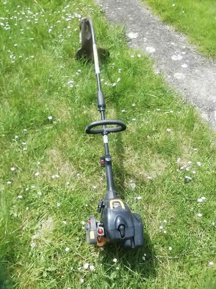 Photo of free Petrol Strimmer (Walford, nr Ross-on-Wye) #1